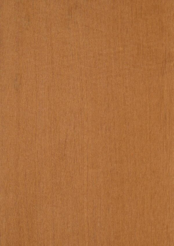 Golden Teak