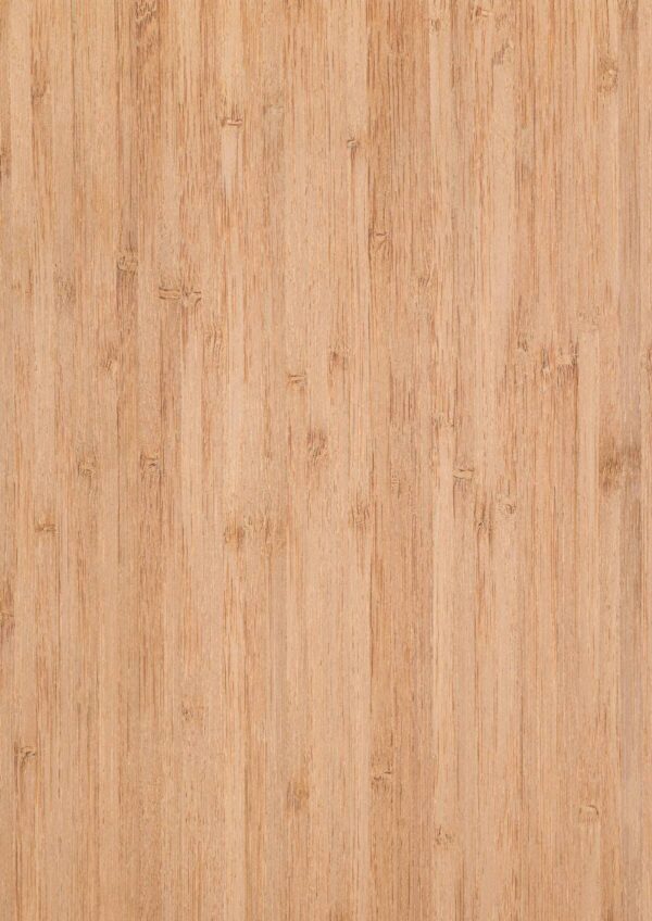 Bambu