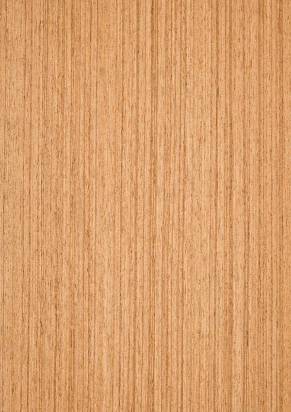 Teak B-05