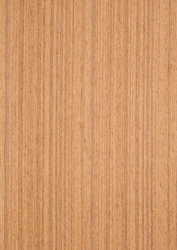 Golden Teak B-06