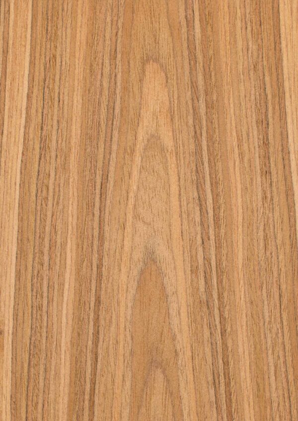 Hareli Teak B-09