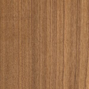 Teak Birmanya