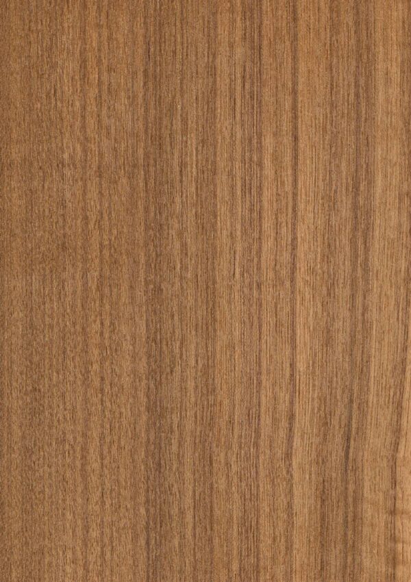 Teak Birmanya