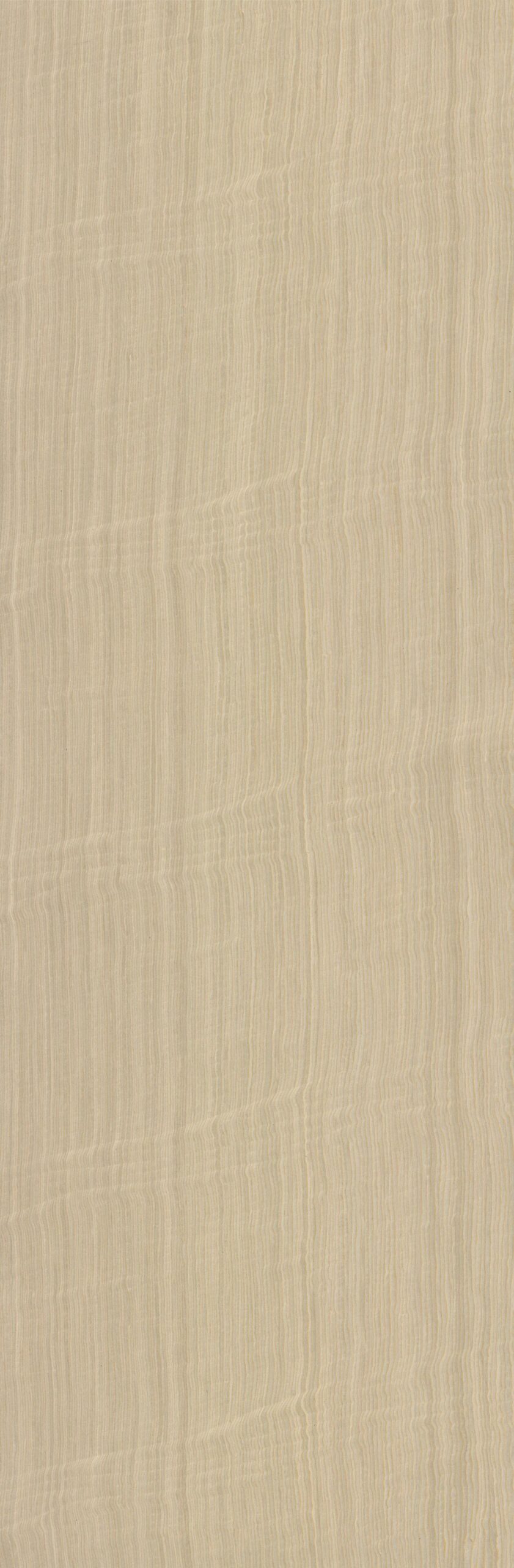 EV Italy Maple Figured