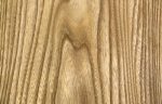 ELM veneer