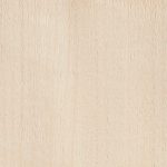 Maple veneer