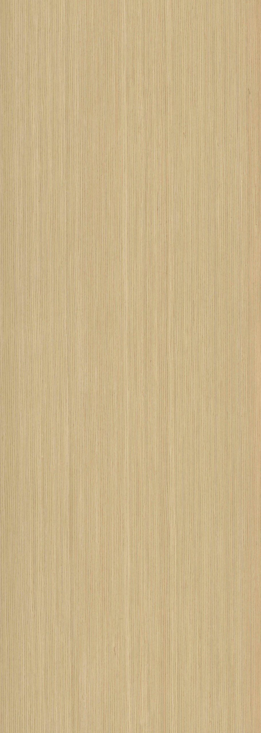 SGR_027765S EV White Oak - Image 1