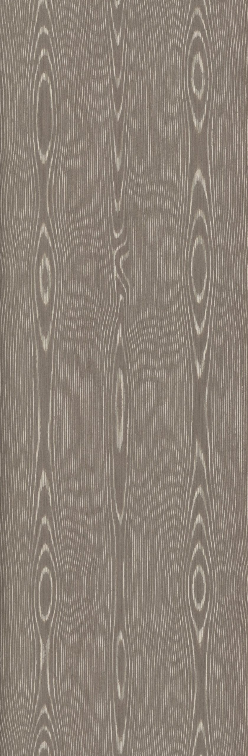 SGR_049533_1C Ev Classical Oak - Image 1