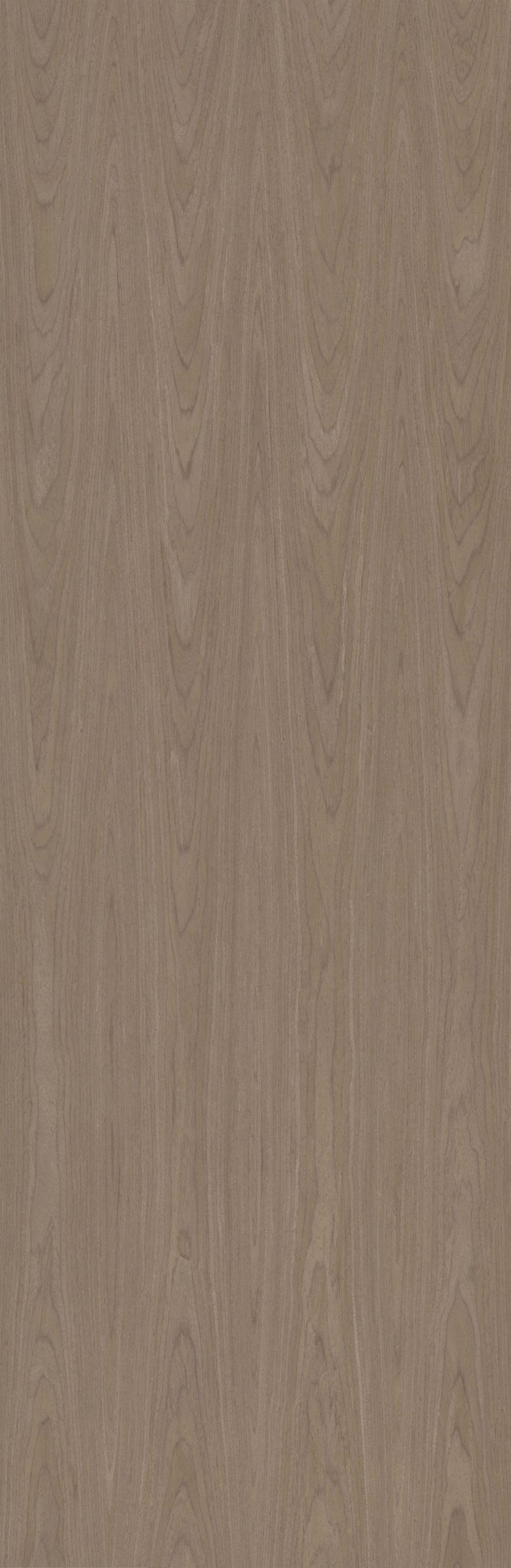 SGR_073105C EV Gemini Wood - Image 1