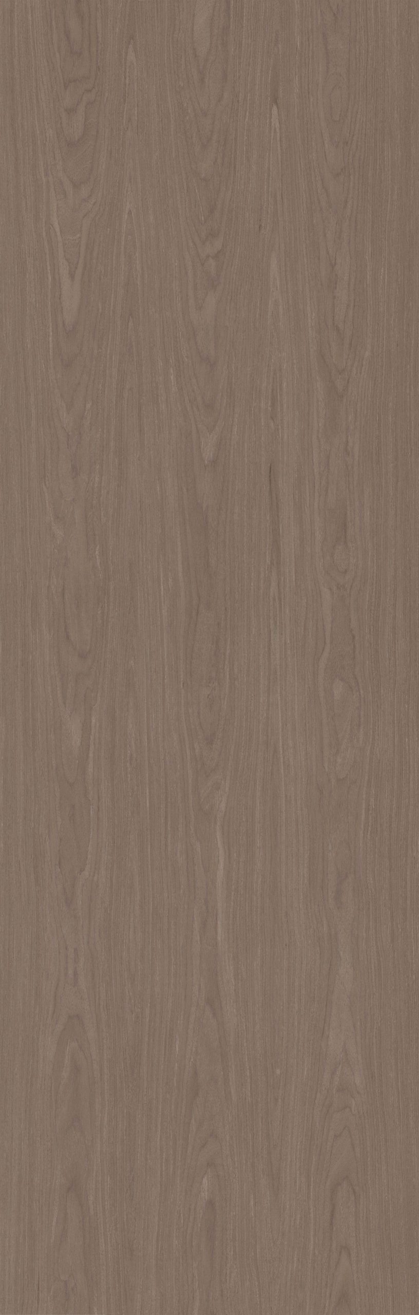 SGR_073346C EV Walnut - Image 1