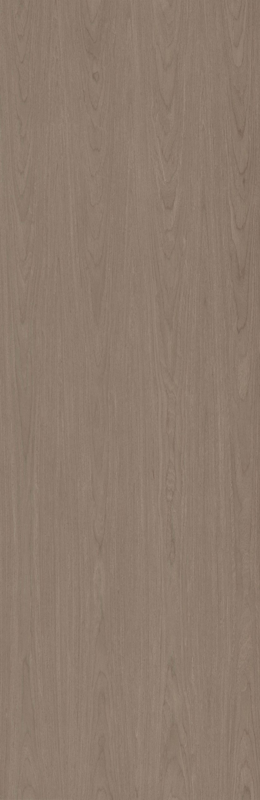 SGR_077484C EV Walnut - Image 1