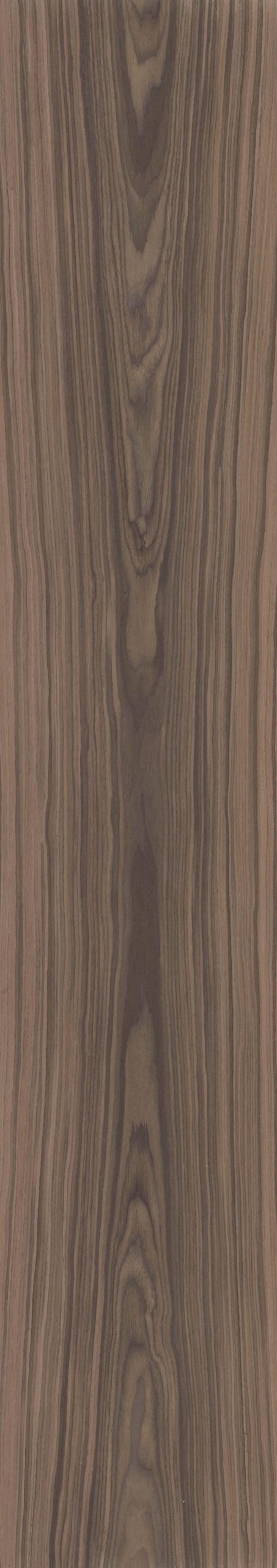 SGR_093386C Walnut - Image 1