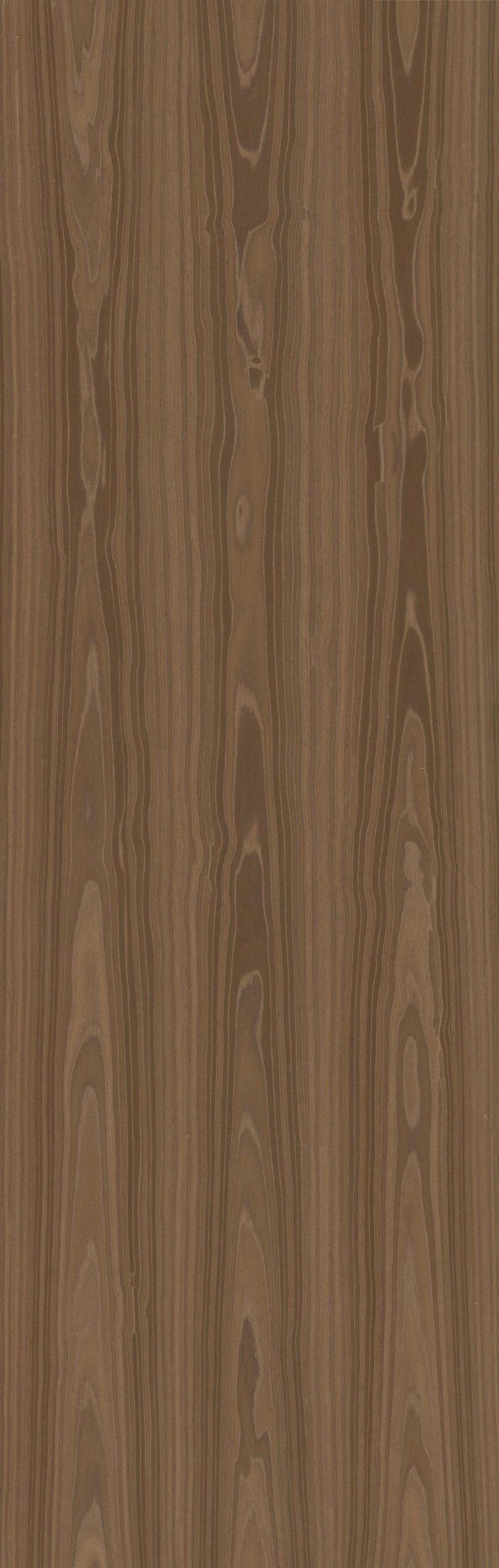 SGR_113200C EV Smoking Walnut - Image 1