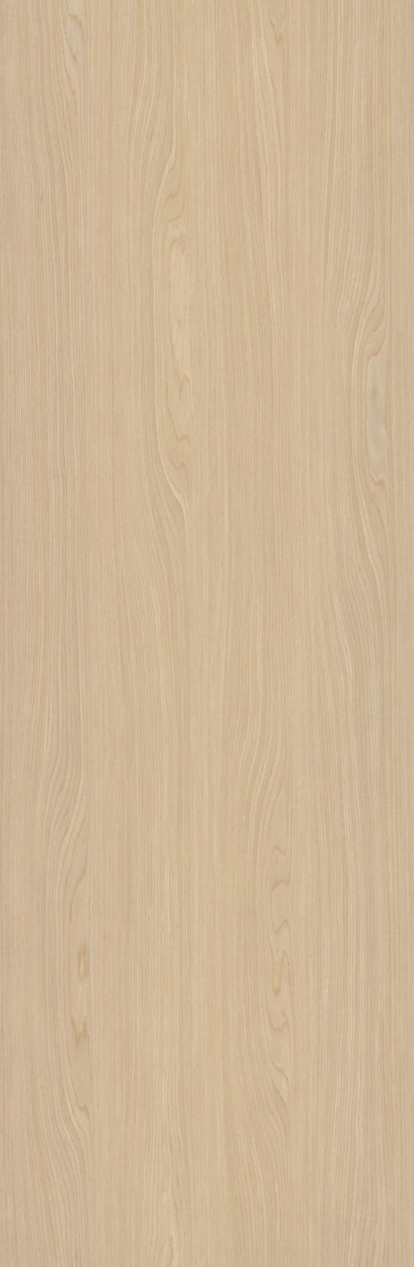 SGR_1536N EV White Oak - Image 1