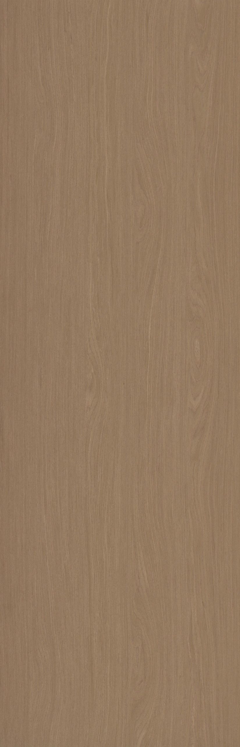 SGR_164233N EV Oak - Image 1