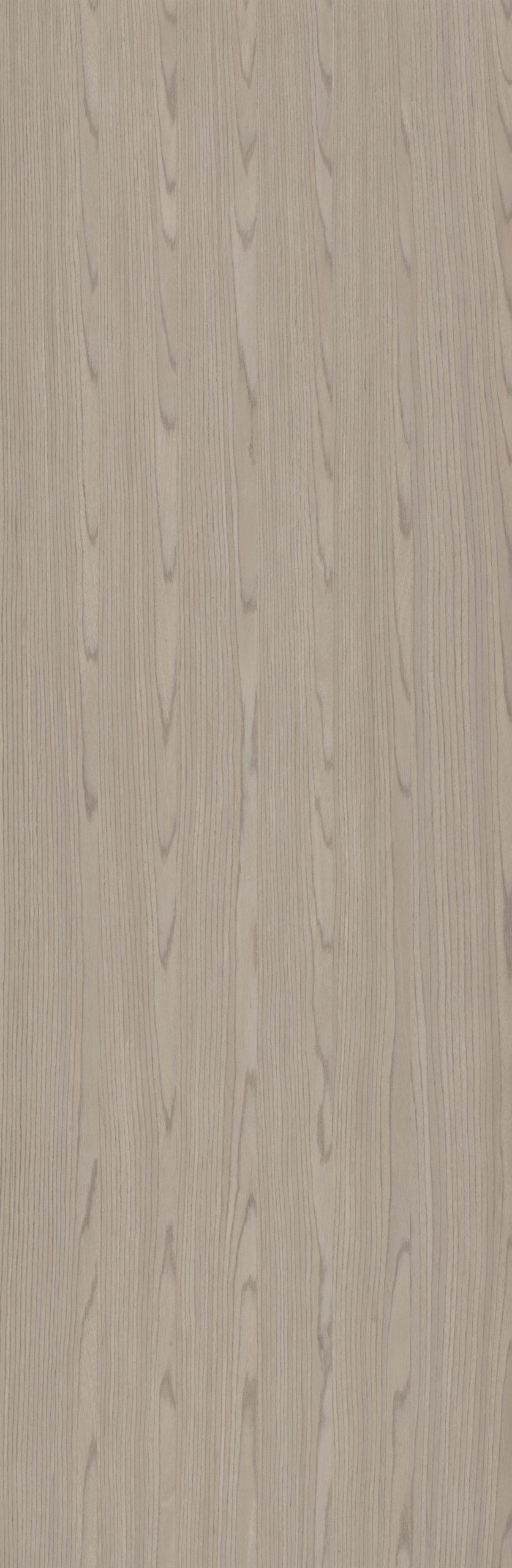 SGR_174242N EV Oak - Image 1