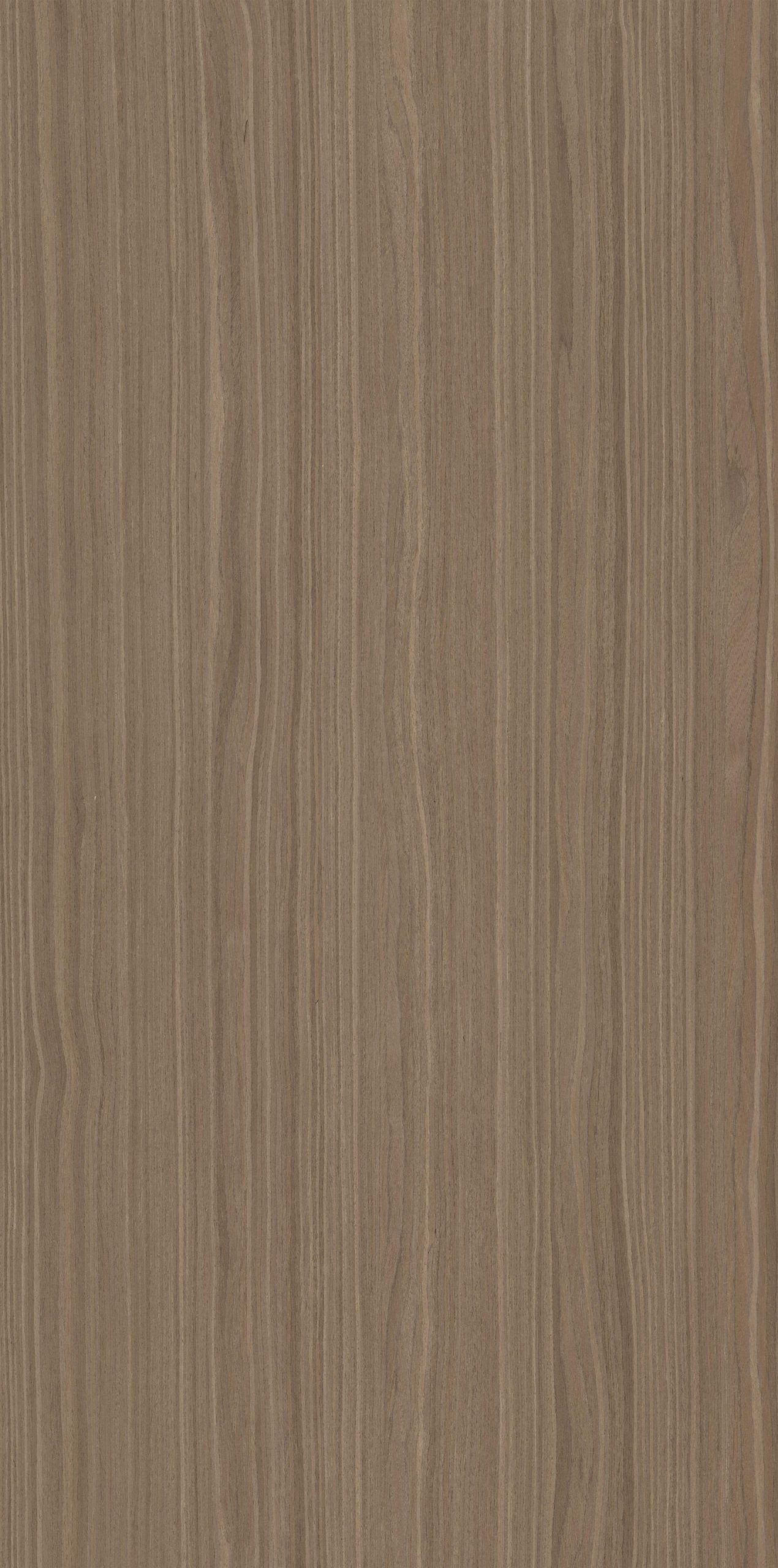 SGR_181219N EV Walnut - Image 1