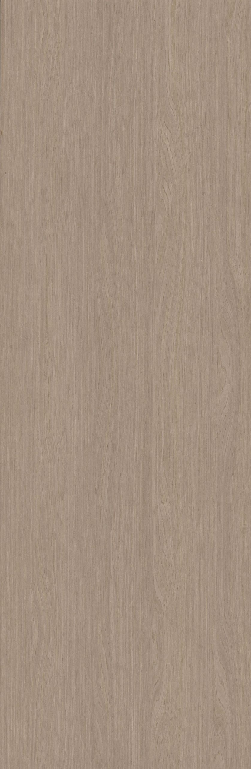 SGR_184224N EV Oak - Image 1