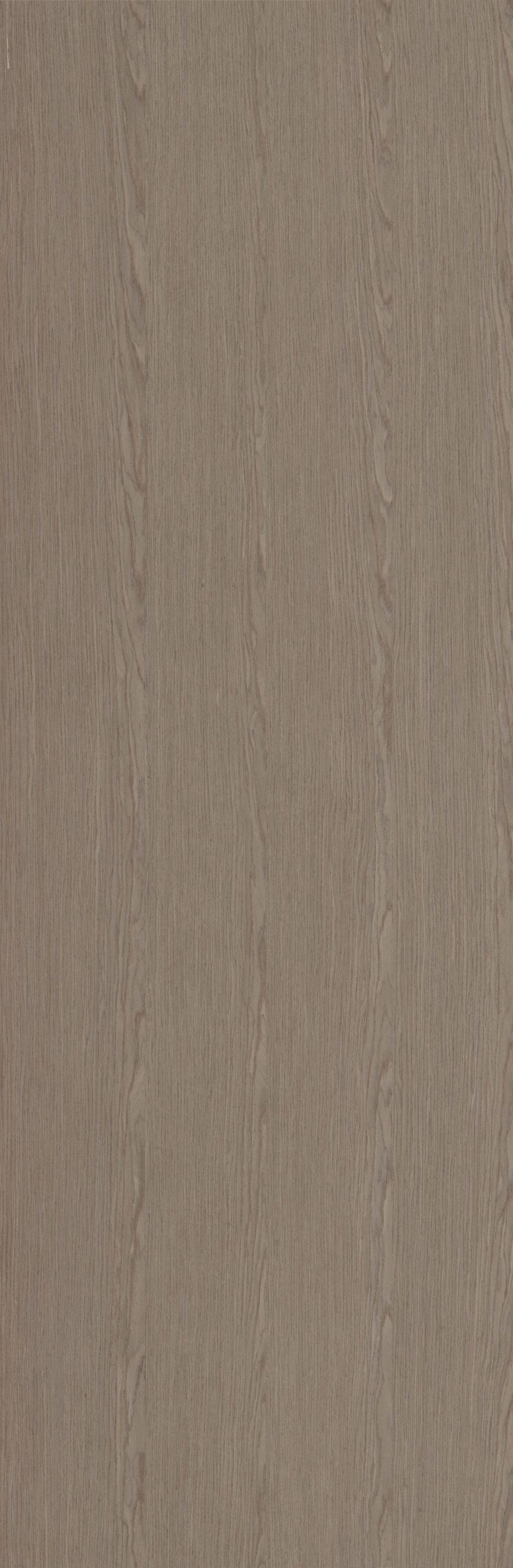 SGR_18841N EV Elm - Image 1