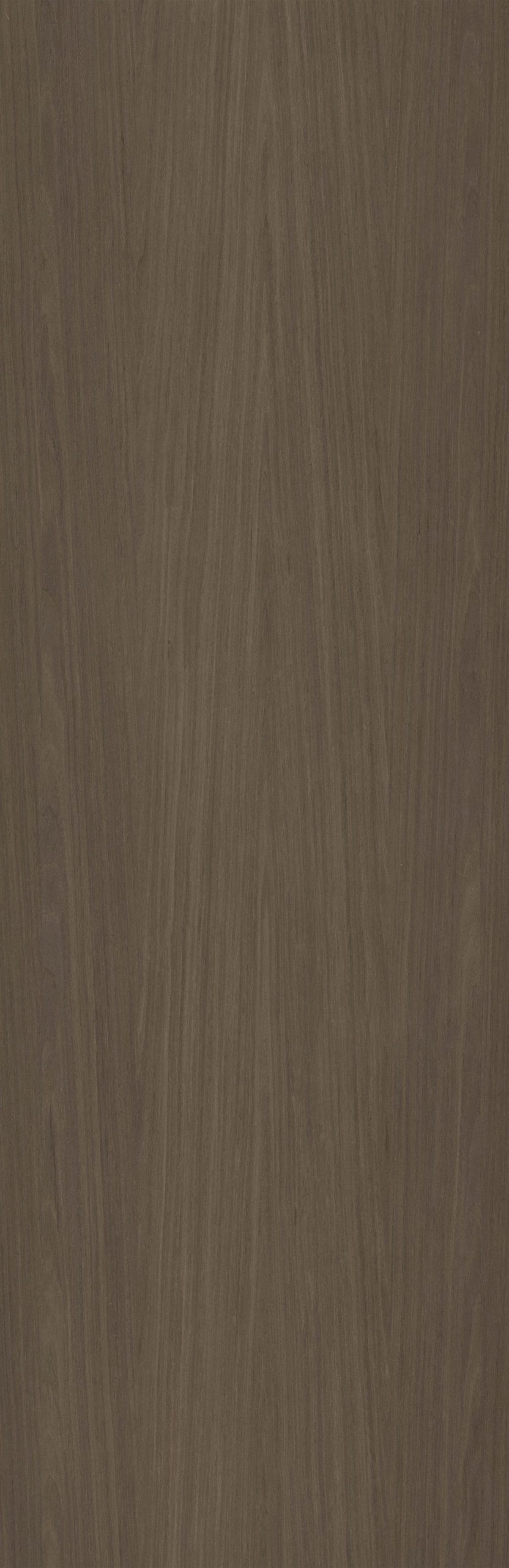 SGR_191095N EV Walnut - Image 1