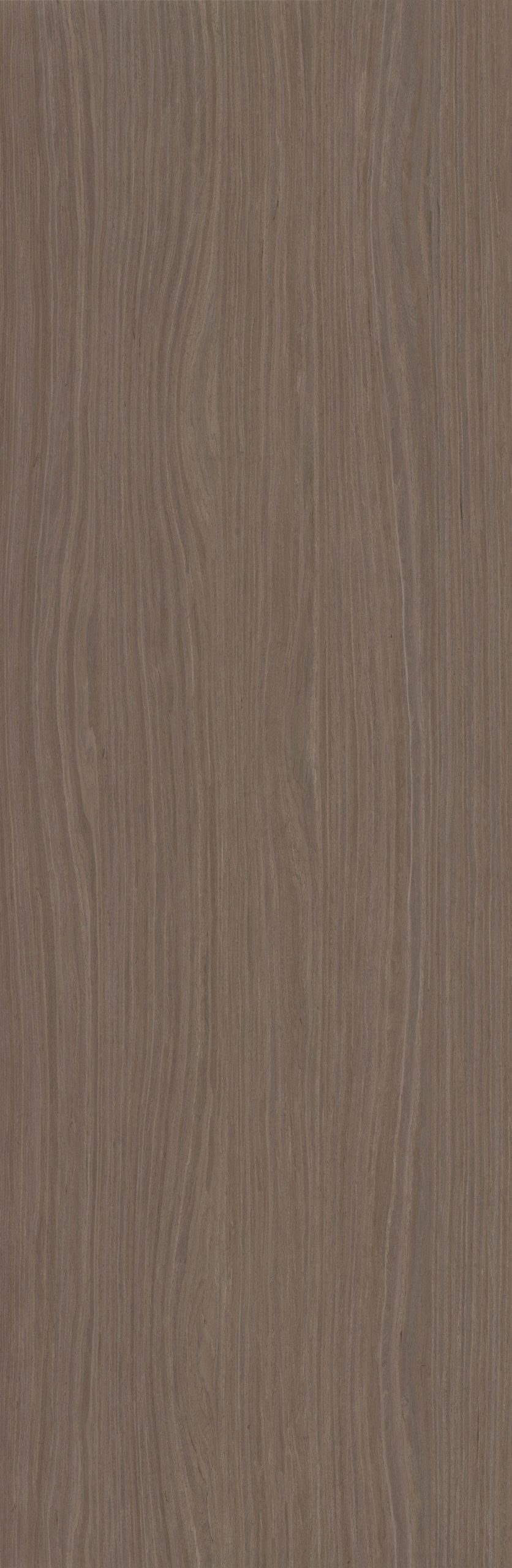 SGR_20292N EV Walnut - Image 1