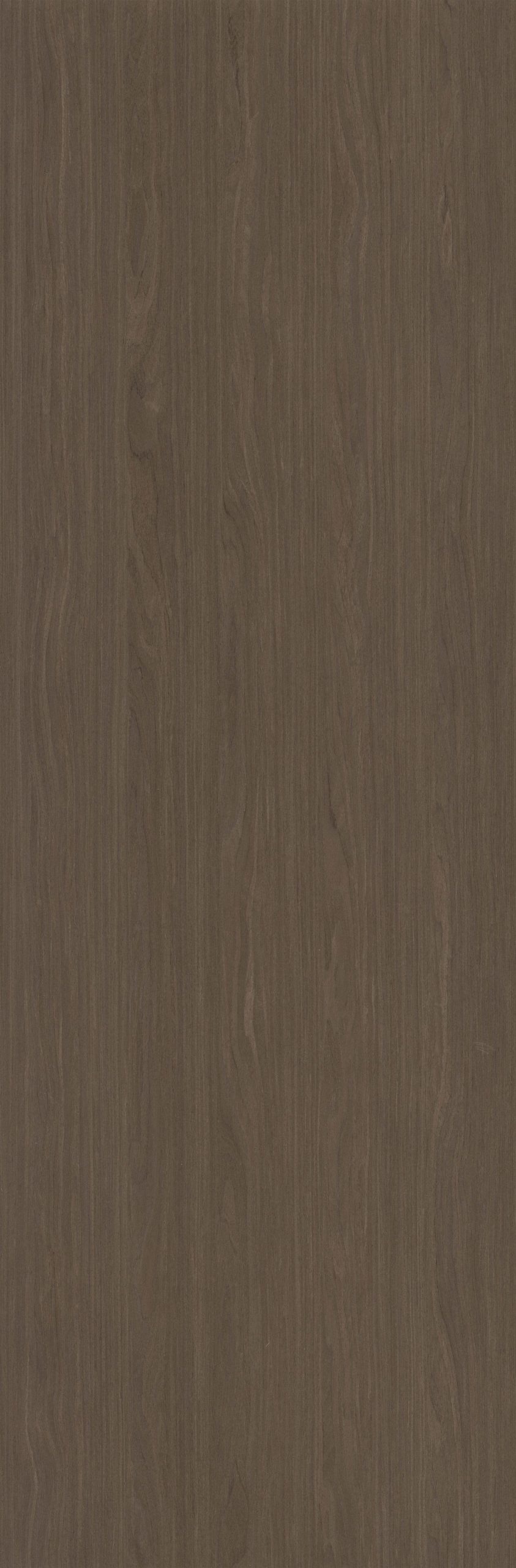 SGR_203409N EV Walnut - Image 1