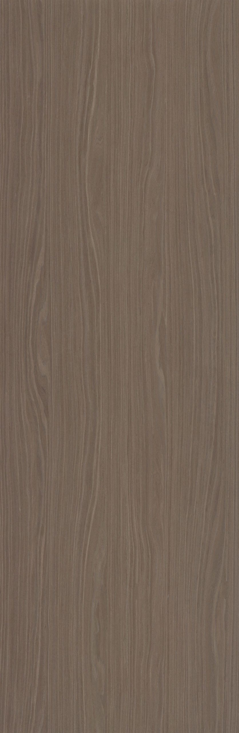 SGR_213415N EV Oak - Image 1