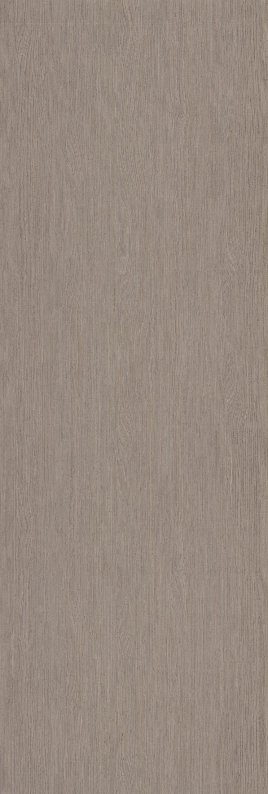 SGR_257771N EV Silver Oak - Image 1