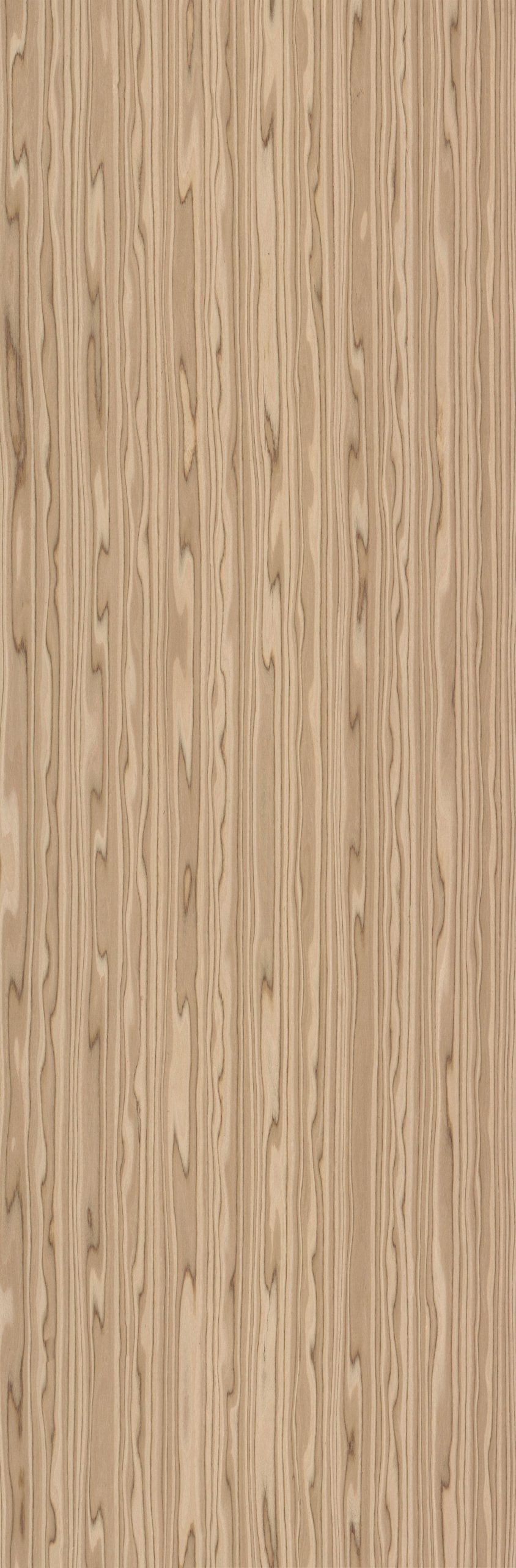 SGR_272838N White Oak - Image 1