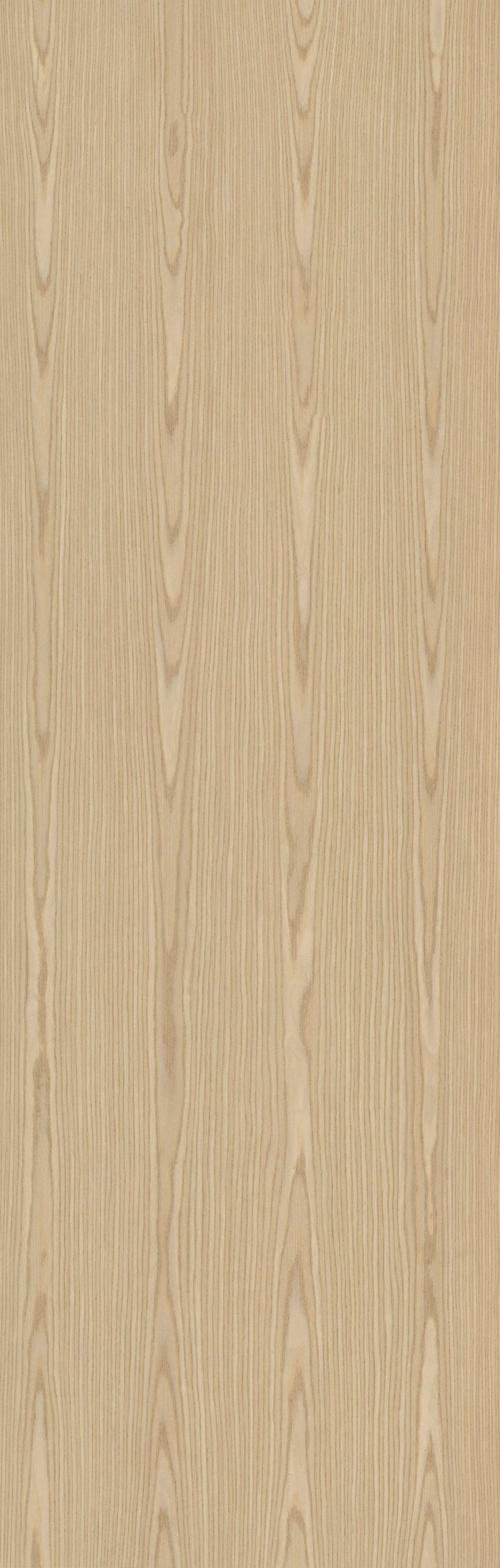 SGR_274052C Ash - Image 1