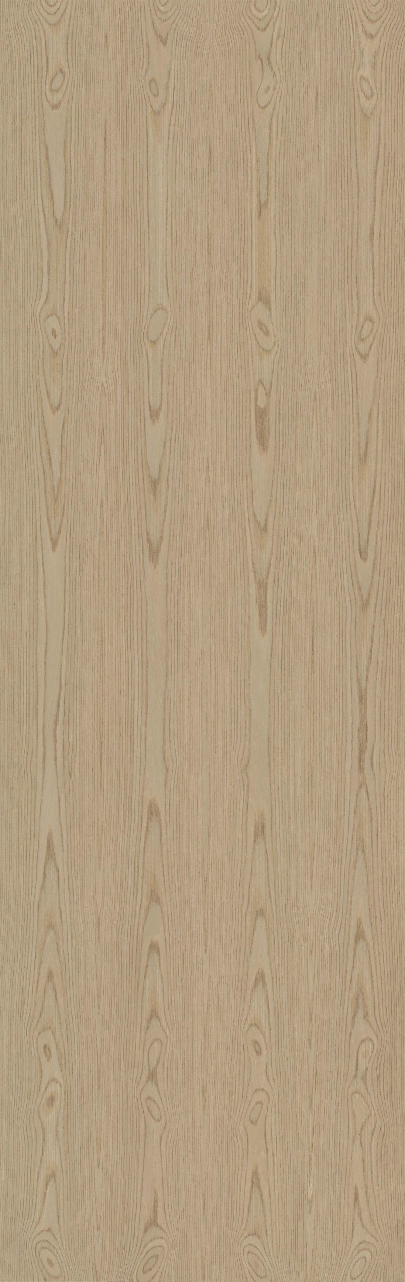 SGR_274056C Ash - Image 1