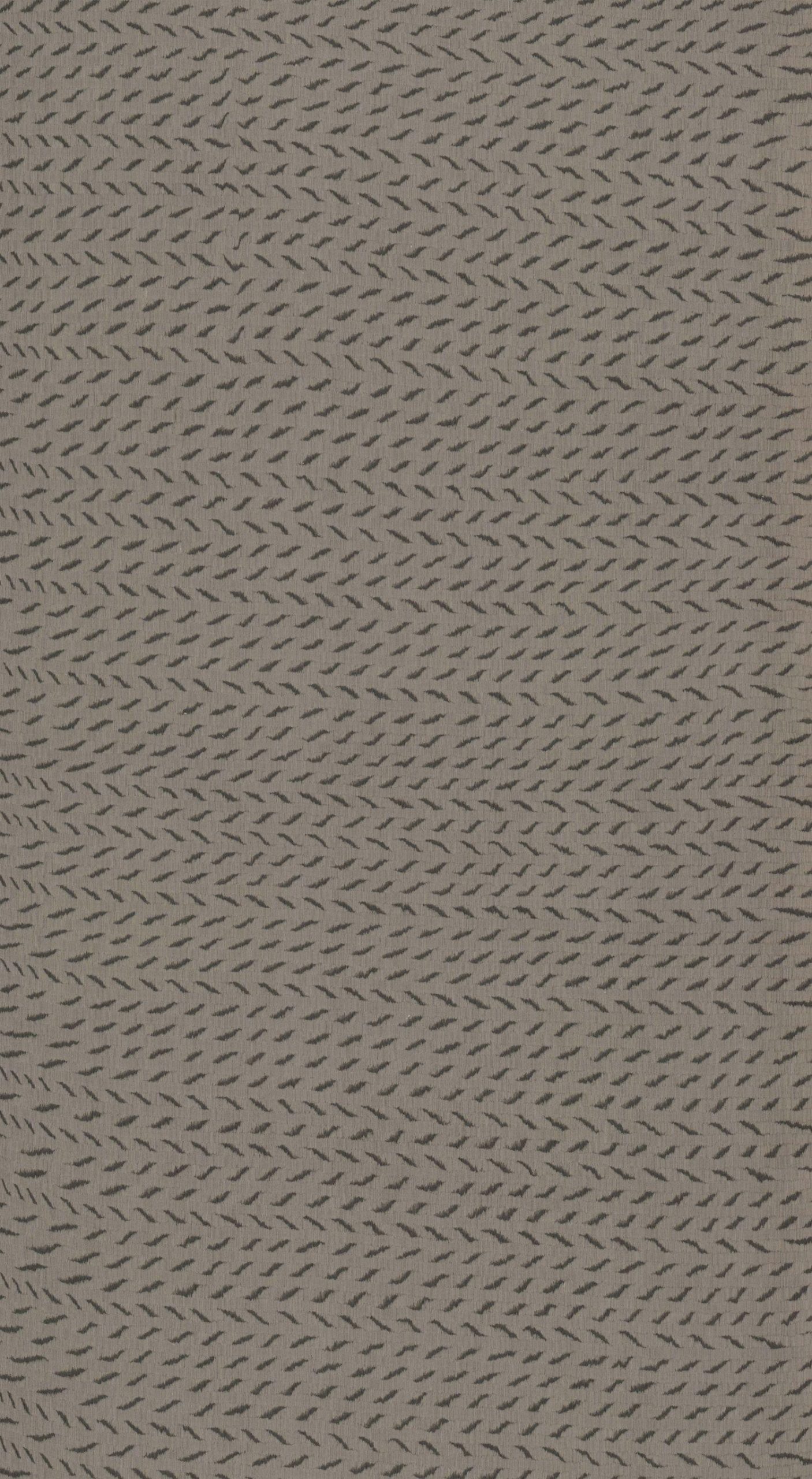 SGR_33967N Tigrer Stripr - Image 1