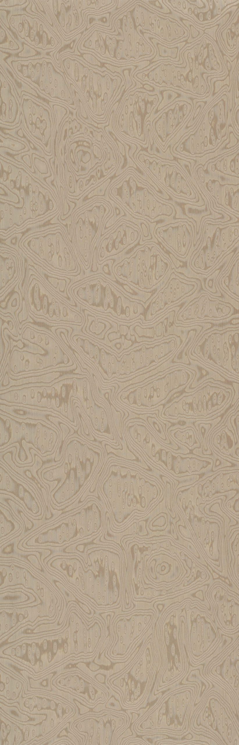 SGR_378031N Bird's Eye Burl - Image 1