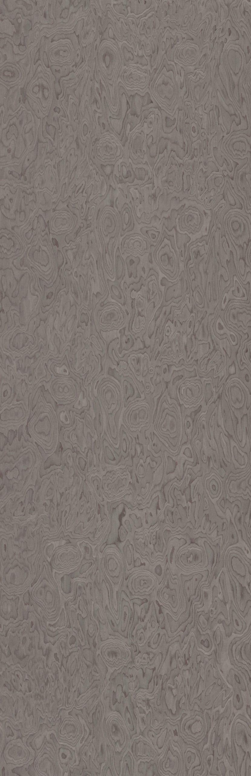 SGR_47388N Silver Ebony Burl - Image 1